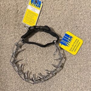 Small Titan Buckle Prong Training Dog Collar